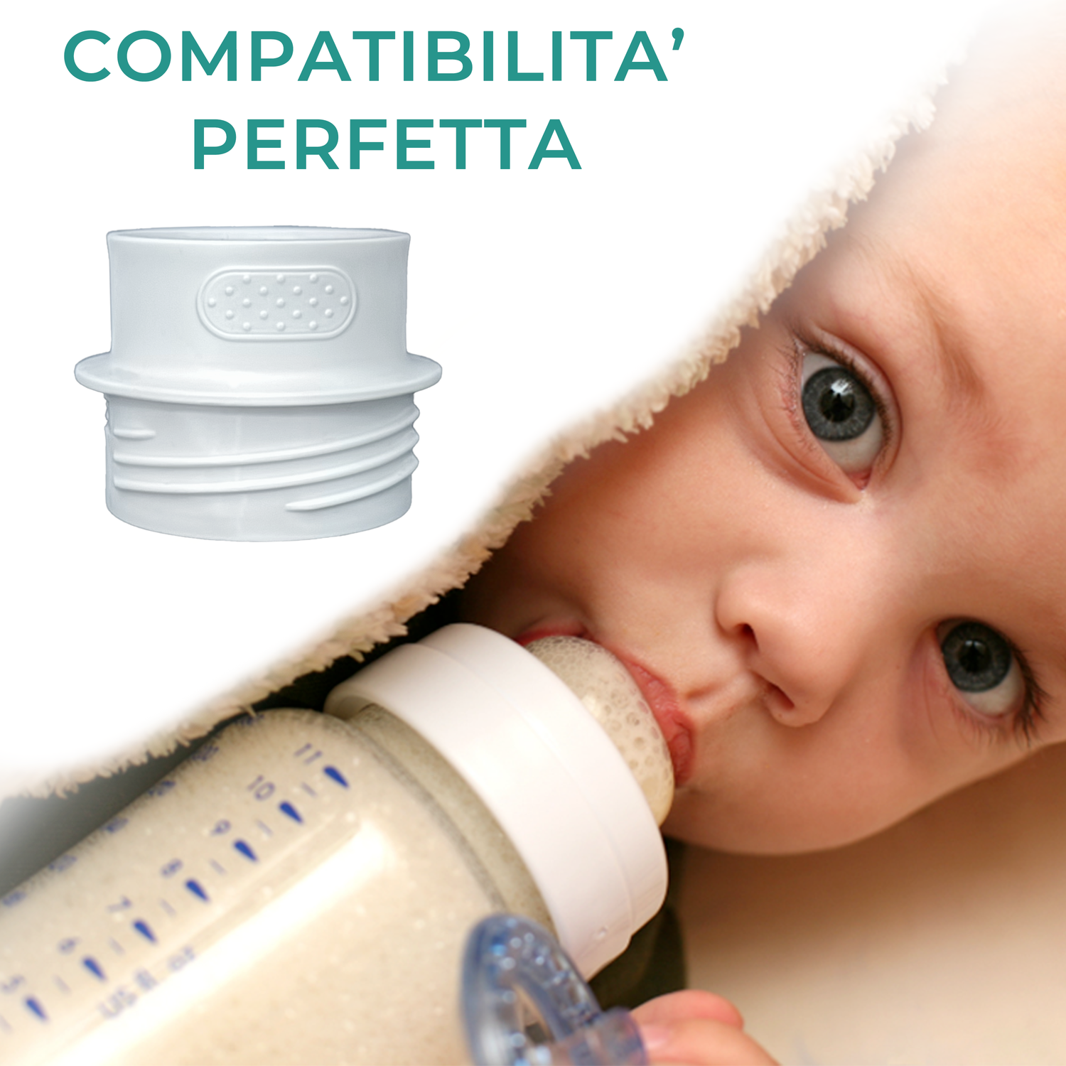 Massima Versatilità per le Tue Marche Preferite