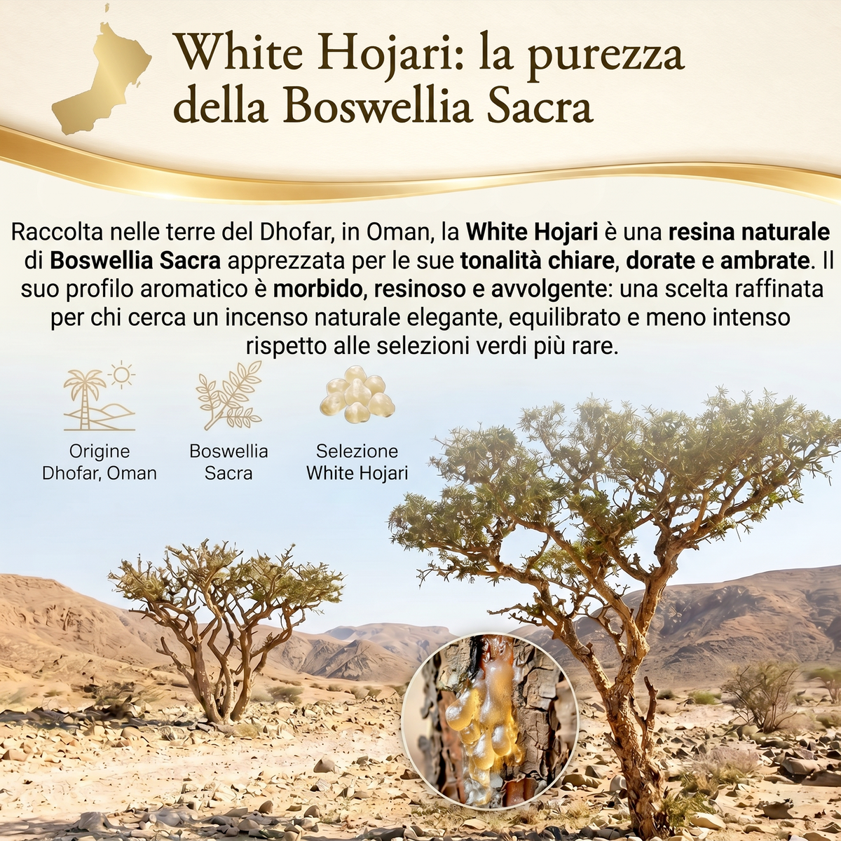 Resina Royal white Hojari 50 g