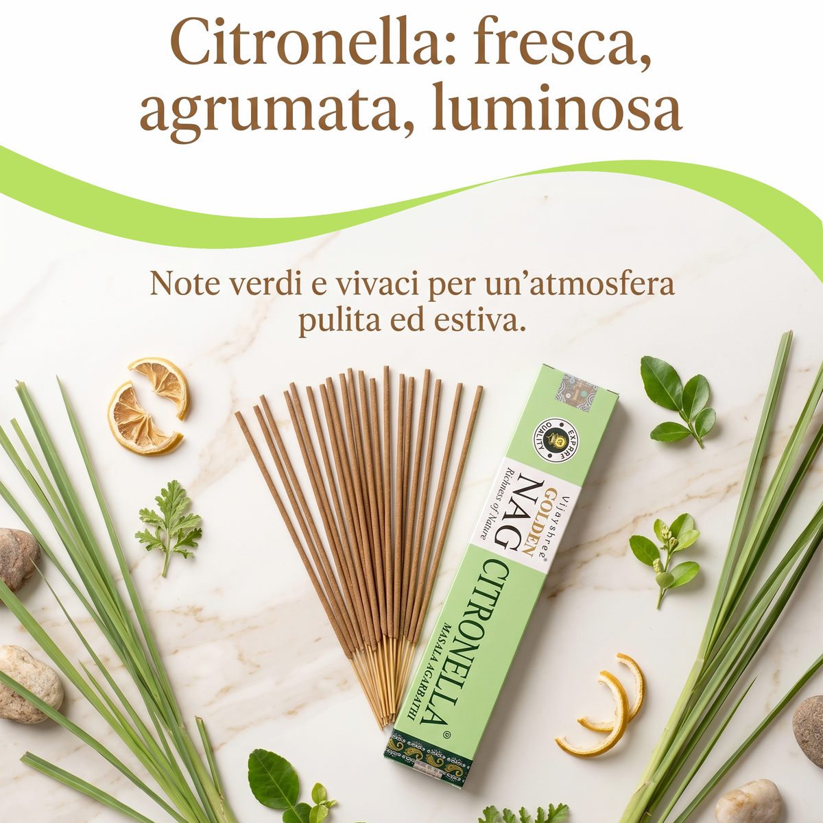 SET GOLDEN NAG (Set Citronella)