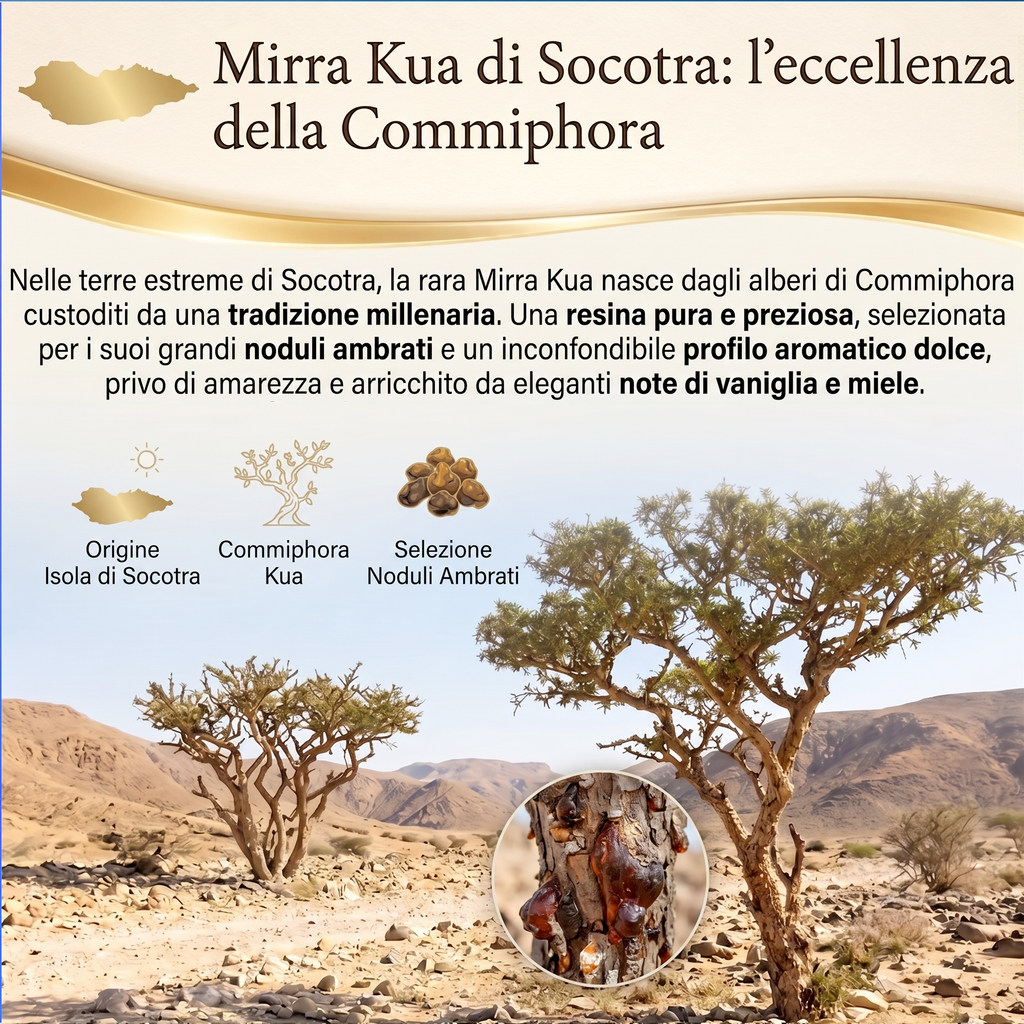 Mirra di Socotra — Resina naturale 50 g