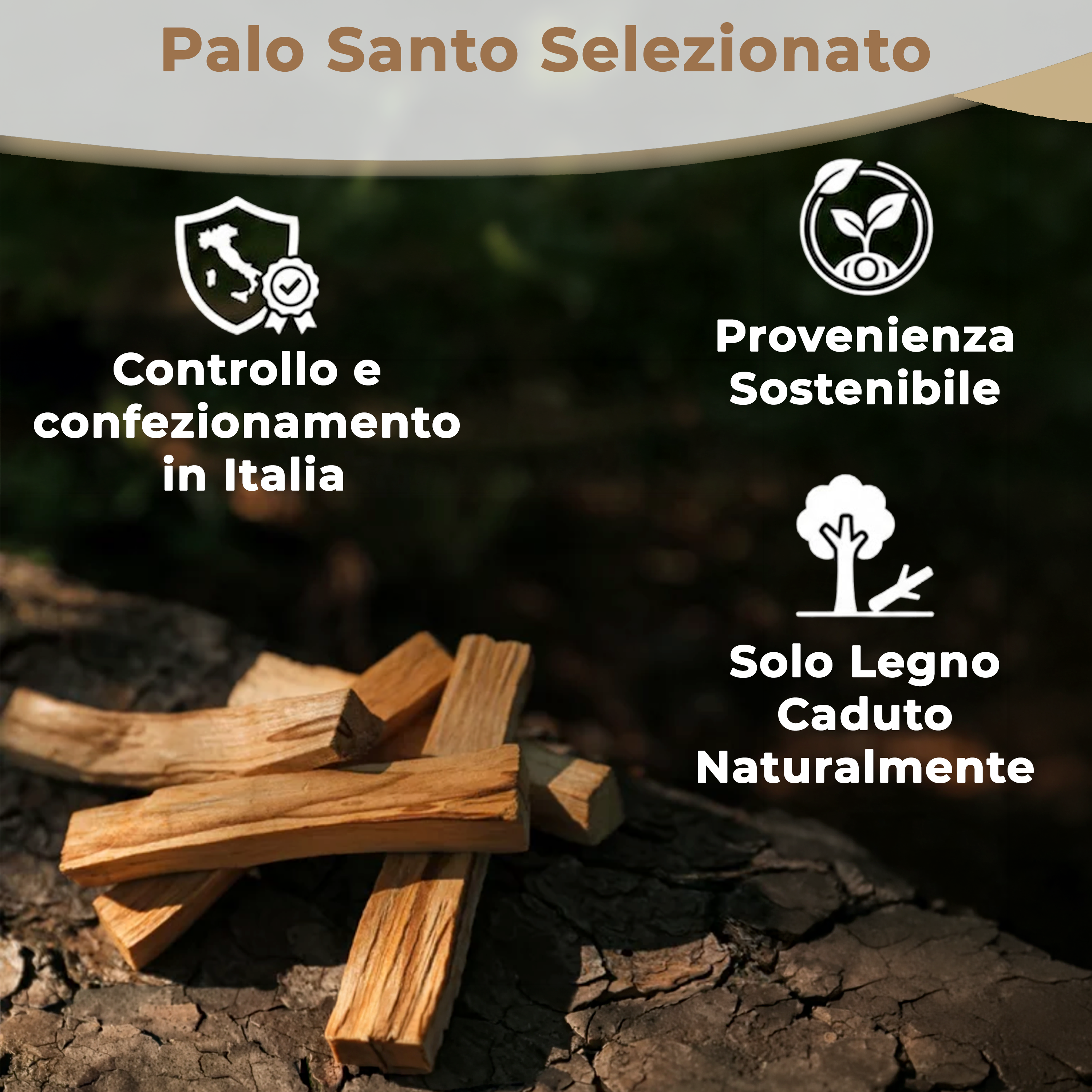 Set Palo Santo Originale (15 Stick)