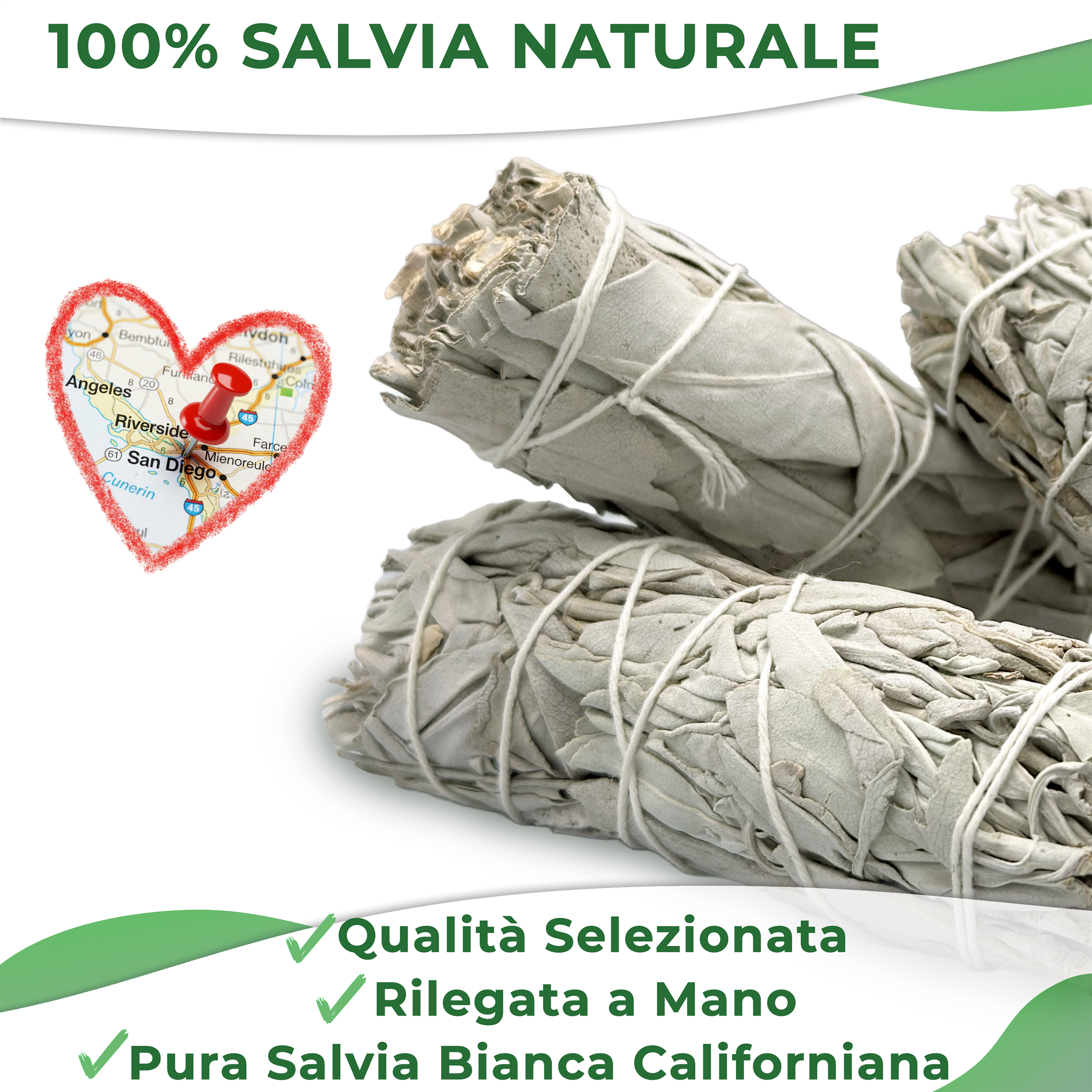SALVIA BIANCA Origine CALIFORNIA (6 PEZZI)